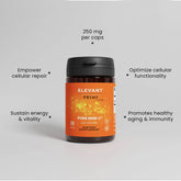 PRIME NMN 250 MG – NAD BOOSTER – METABOLISM